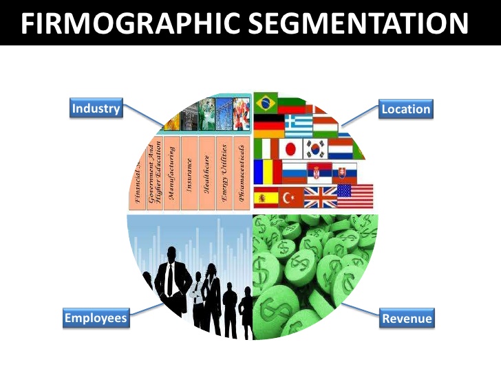 firmographic segmentation
